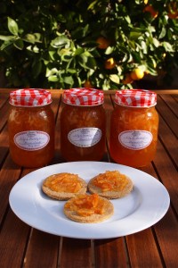 Lily & Mummy's Marmalade