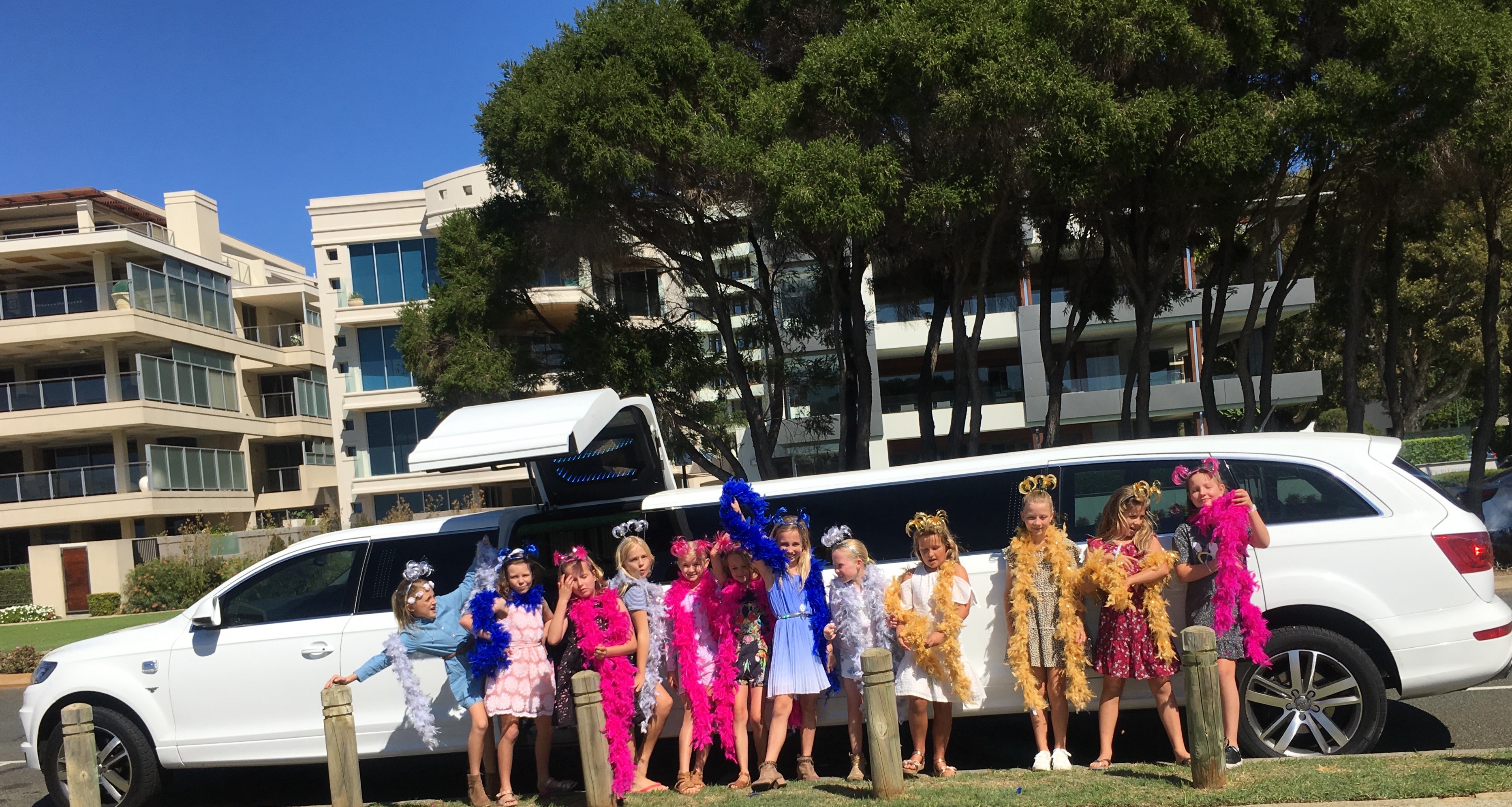 IMG_0330 - Lily Party - Limo